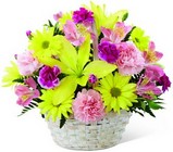  Basket of Cheer Bouquet from Arthur Pfeil Smart Flowers in San Antonio, TX
